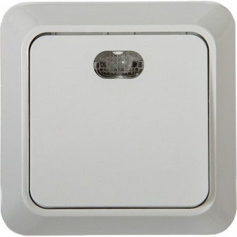 Выключатель одноклавишный с подсветкой BOLLETO белый накладной 7121 IN HOME